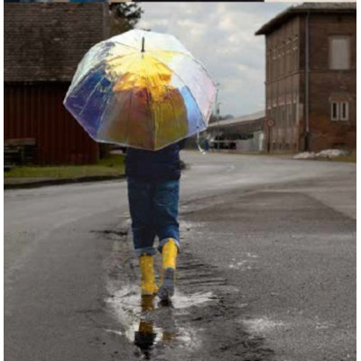 Happy rain - Domeshope Shiny  40979 dámský dlouhý automatický deštník